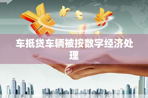 丽水车抵贷车辆被按数字经济处理