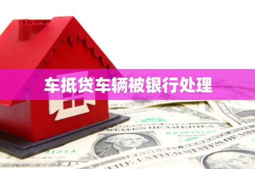 陇南车抵贷车辆被银行处理