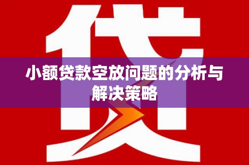 水上小额贷款空放问题的分析与解决策略